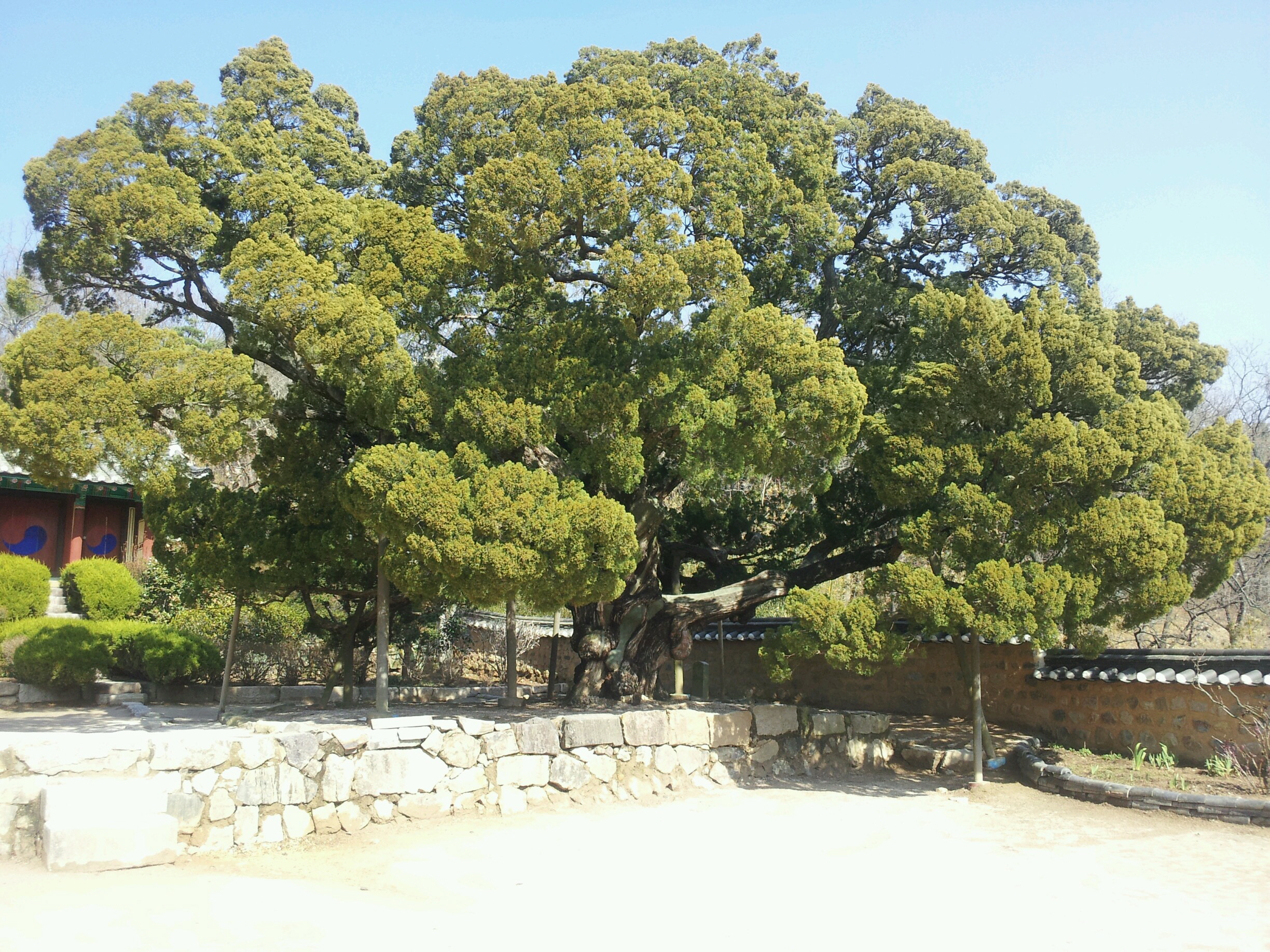 조경설계3 이영교, 시명석, 오영균 조 경주 양동마을 사진입니다.