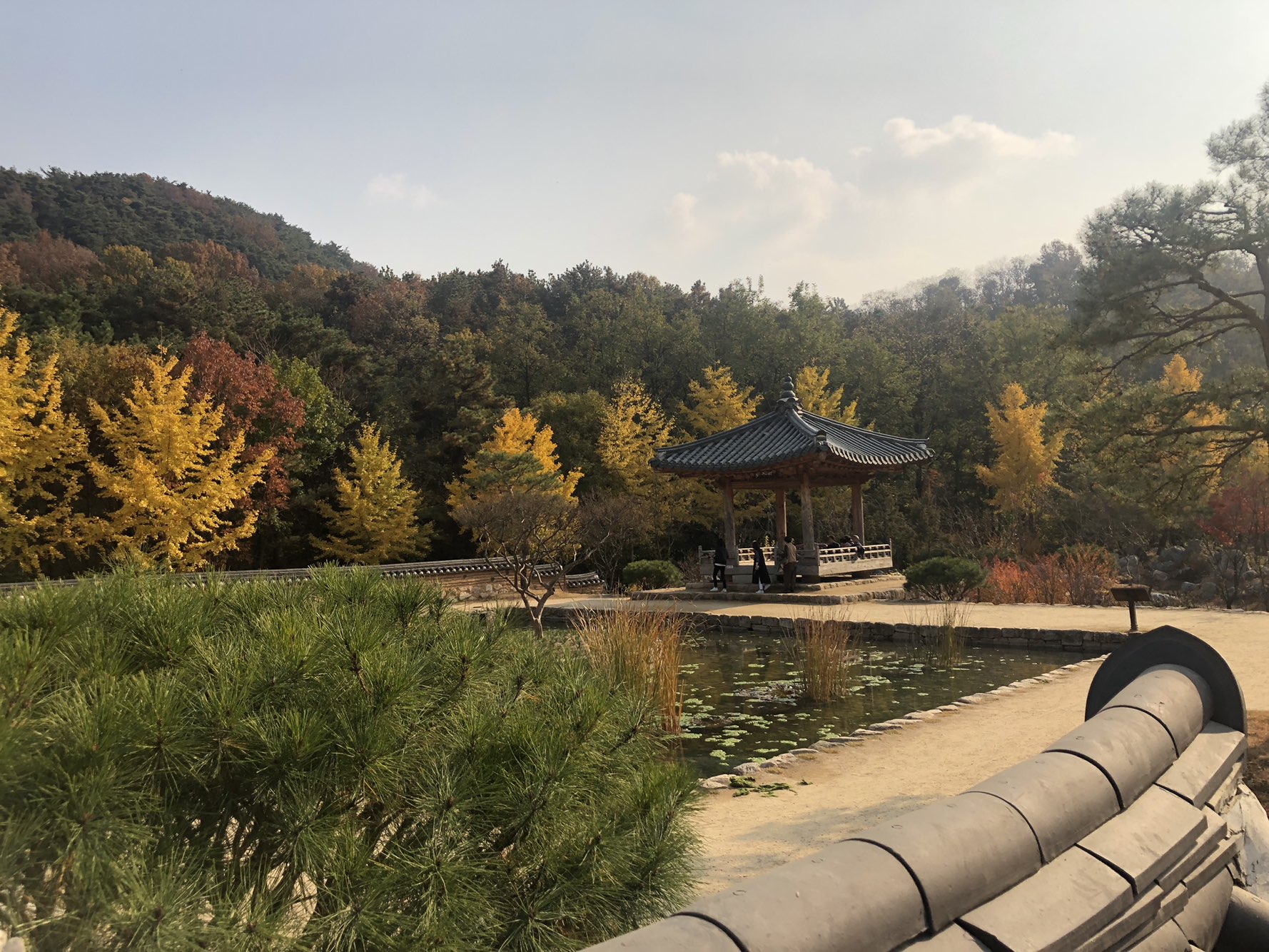 20181106 수목원