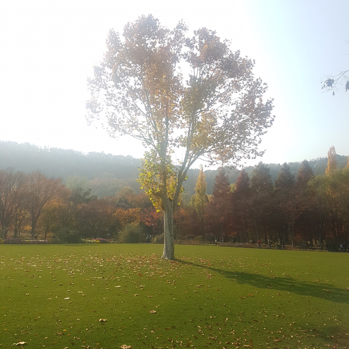 20181106 대구수목원(박성철,이해령)